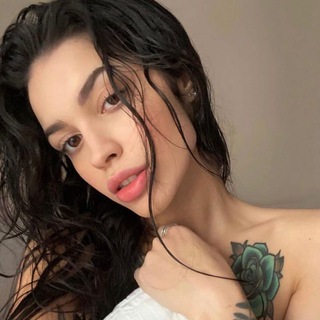 Логотип Телеграм канала . Бесплатная аналитика Telegram каналов