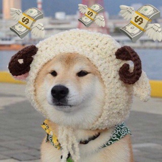 Логотип Телеграм канала . Бесплатная аналитика Telegram каналов