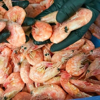 Логотип Телеграм канала . Бесплатная аналитика Telegram каналов