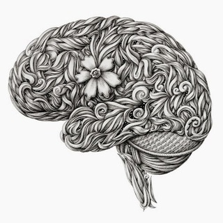 Telegram Channel logo norm_pat_anatomy. Free Telegram Channel Analytics