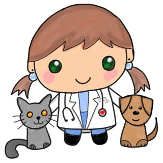 Telegram Channel logo ksanvet. Free Telegram Channel Analytics