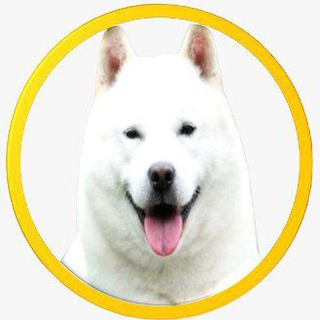 Telegram Channel logo . Free Telegram Channel Analytics