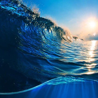 Telegram Channel logo ocean_msk. Free Telegram Channel Analytics