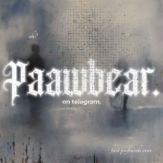Telegram Channel logo paawbear. 𖦽. Free Telegram Channel Analytics