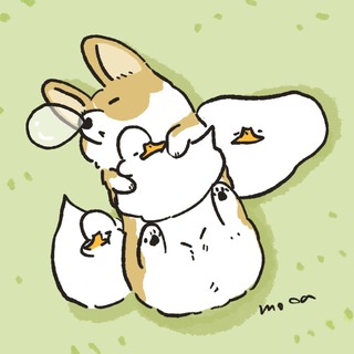 Telegram Channel logo dfzwe4. Free Telegram Channel Analytics