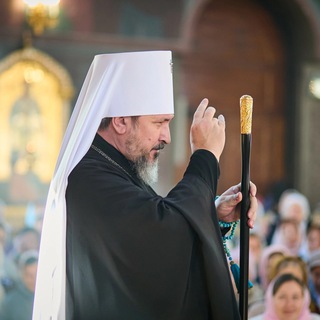 Логотип Телеграм канала . Бесплатная аналитика Telegram каналов