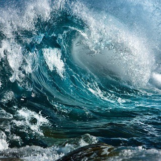 Логотип Телеграм канала milashvadim. Бесплатная аналитика Telegram каналов