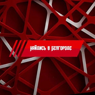 Telegram Channel logo naydisbelgorod31. Free Telegram Channel Analytics