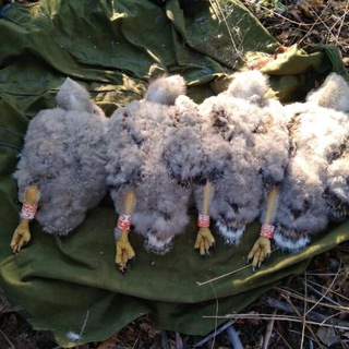 Логотип Телеграм канала Экспедиционные картинки. Бесплатная аналитика Telegram каналов