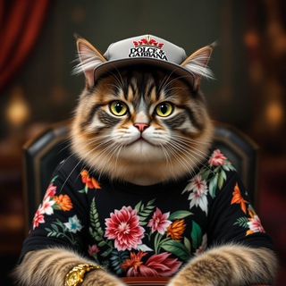 Логотип Телеграм канала . Бесплатная аналитика Telegram каналов