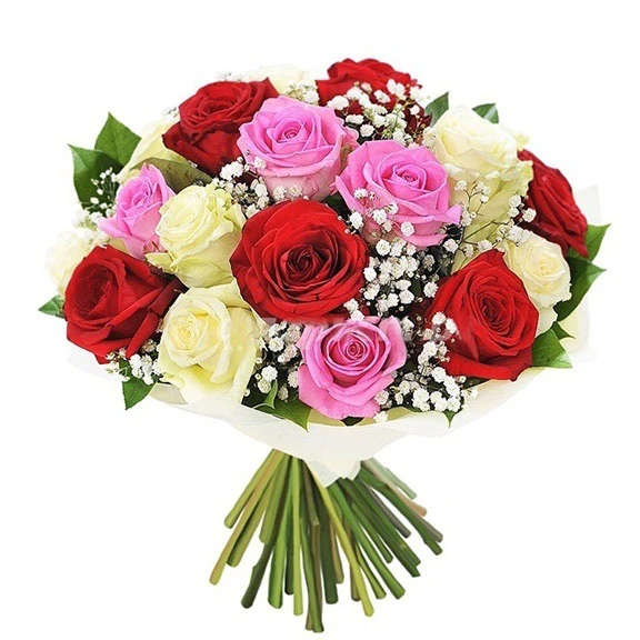 Telegram Channel logo otkipoz. Free Telegram Channel Analytics