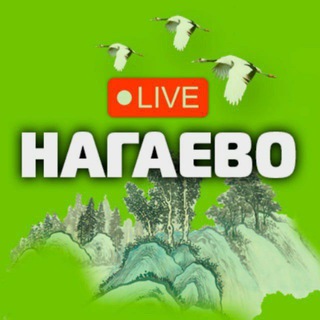 Логотип Телеграм канала nagaevo_news. Бесплатная аналитика Telegram каналов