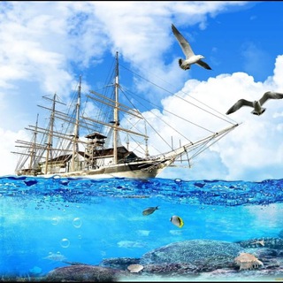 Telegram Channel logo teriberka_the_northern_rigion. Free Telegram Channel Analytics