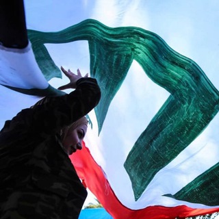 Логотип Телеграм канала sarahmzher. Бесплатная аналитика Telegram каналов