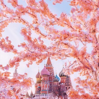 Логотип Телеграм канала . Бесплатная аналитика Telegram каналов