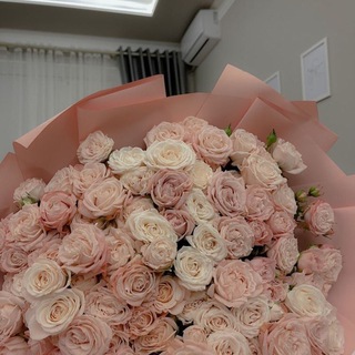 Логотип Телеграм канала MY WORLD. Бесплатная аналитика Telegram каналов