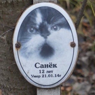 Логотип Телеграм канала Путь Санька. Бесплатная аналитика Telegram каналов