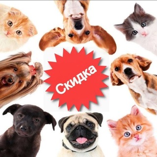 Логотип Телеграм канала +P5nds02rX_83NTYy. Бесплатная аналитика Telegram каналов