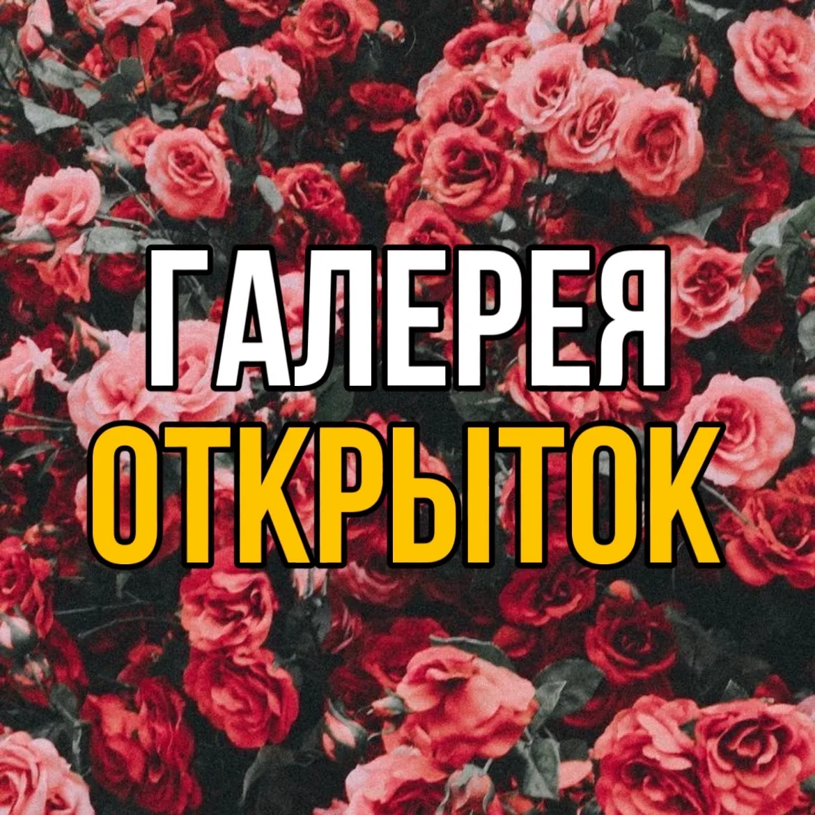 Telegram Channel logo galereya_otkritok. Free Telegram Channel Analytics