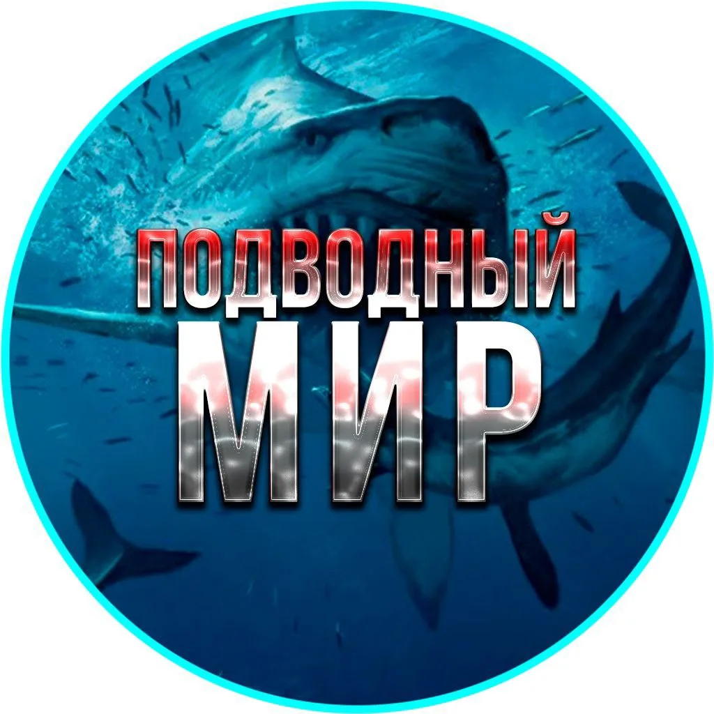 Telegram Channel logo club99888257. Free Telegram Channel Analytics