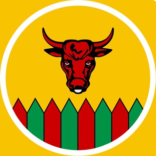 Telegram Channel logo +N2JnQAmKdTM3ZmNi. Free Telegram Channel Analytics
