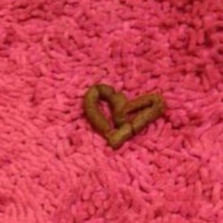 Логотип Телеграм канала Dank Joint. Бесплатная аналитика Telegram каналов