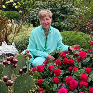 Telegram Channel logo pgtponizovka. Free Telegram Channel Analytics