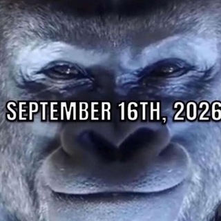 Telegram Channel logo monke. Free Telegram Channel Analytics