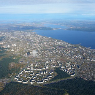 Логотип Телеграм канала . Бесплатная аналитика Telegram каналов