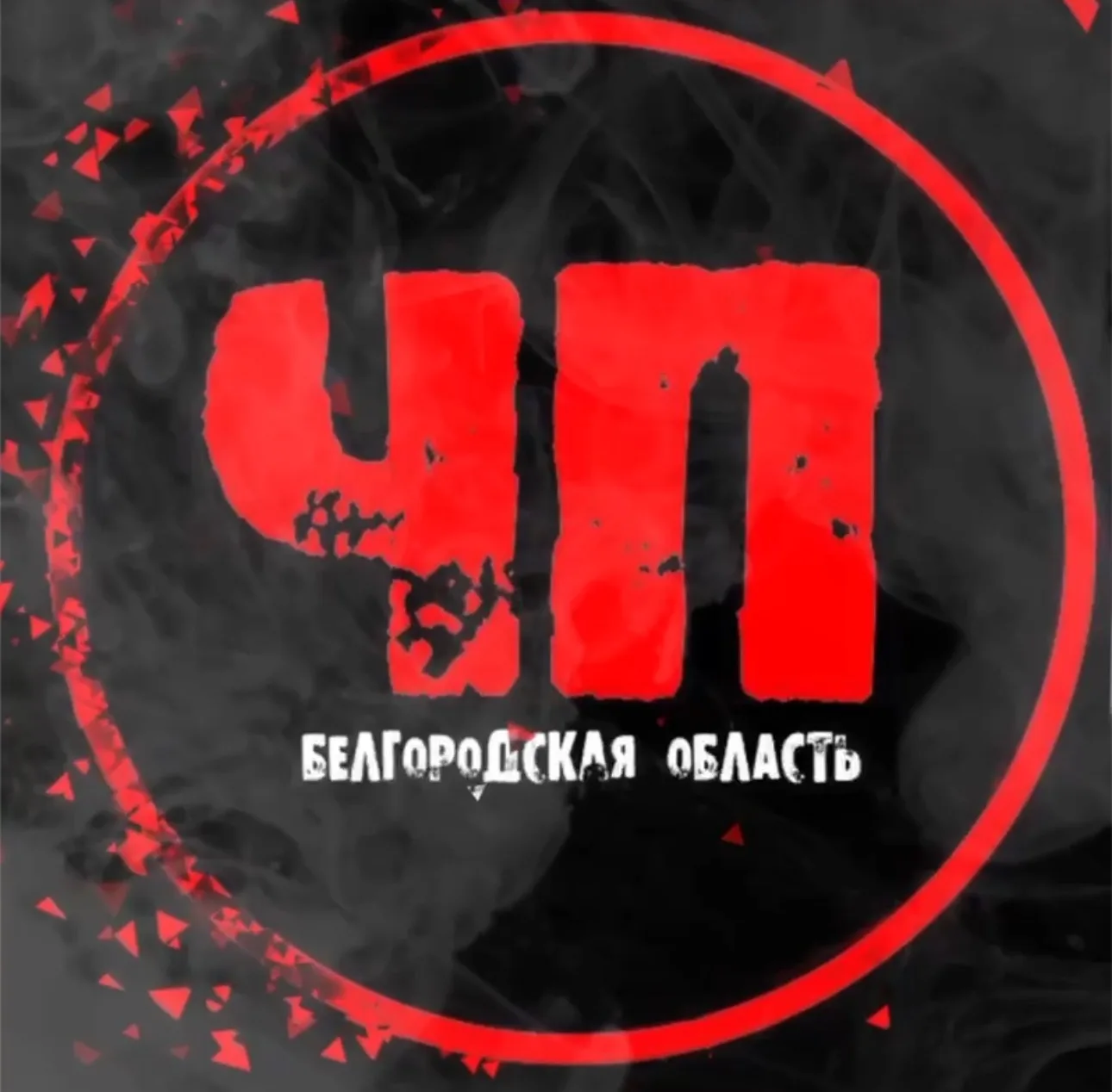 Логотип Телеграм канала chpbelgorod. Бесплатная аналитика Telegram каналов