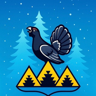 Логотип Телеграм канала . Бесплатная аналитика Telegram каналов