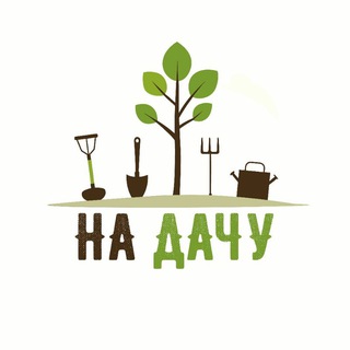 Telegram Channel logo nadachyu. Free Telegram Channel Analytics