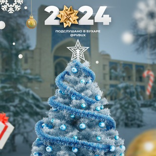 Telegram Channel logo pvbux. Free Telegram Channel Analytics