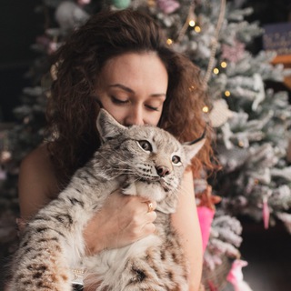 Логотип Телеграм канала katyabobcatlife. Бесплатная аналитика Telegram каналов