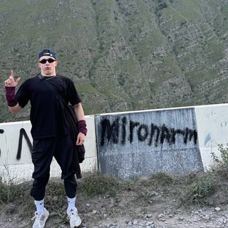 Логотип Телеграм канала . Бесплатная аналитика Telegram каналов