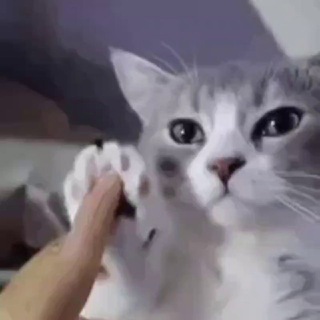 Telegram Channel logo okotovoe. Free Telegram Channel Analytics