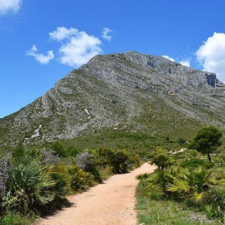 Telegram Channel logo Stellium7 - #Biogeology. Free Telegram Channel Analytics