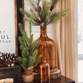 Telegram Channel logo plaid_home. Free Telegram Channel Analytics