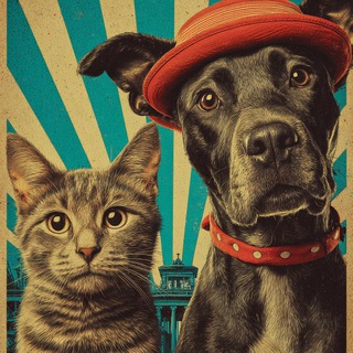 Telegram Channel logo +BCzjdGIRN_c5NGEy. Free Telegram Channel Analytics