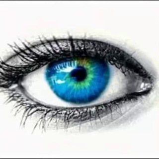 Telegram Channel logo svodka_sakhalin. Free Telegram Channel Analytics