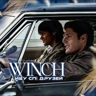 Telegram Channel logo . Free Telegram Channel Analytics