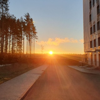 Логотип Телеграм канала prosertolovo. Бесплатная аналитика Telegram каналов