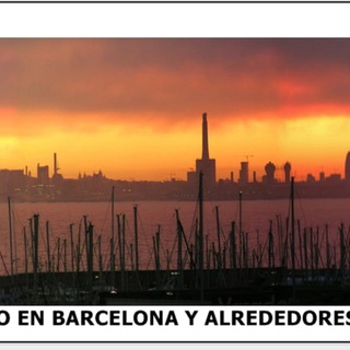 Telegram Channel logo trabajaenbarcelona. Free Telegram Channel Analytics