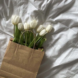 Telegram Channel logo الرايـہ'ة البيضـاء 🕊.. Free Telegram Channel Analytics