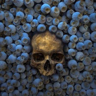 Telegram Channel logo Art Style. Free Telegram Channel Analytics