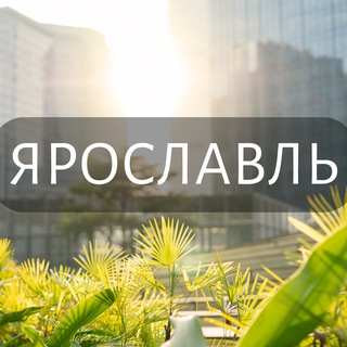 Логотип Телеграм канала yar_portal. Бесплатная аналитика Telegram каналов