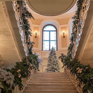 Логотип Телеграм канала . Бесплатная аналитика Telegram каналов