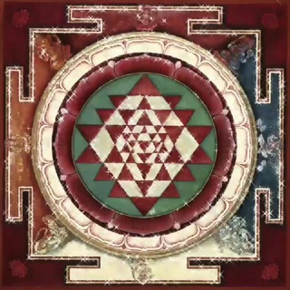 Telegram Channel logo goevolution. Free Telegram Channel Analytics