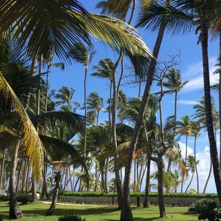 Telegram Channel logo remoteit. Free Telegram Channel Analytics