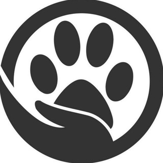 Telegram Channel logo vietnam_pitomci. Free Telegram Channel Analytics